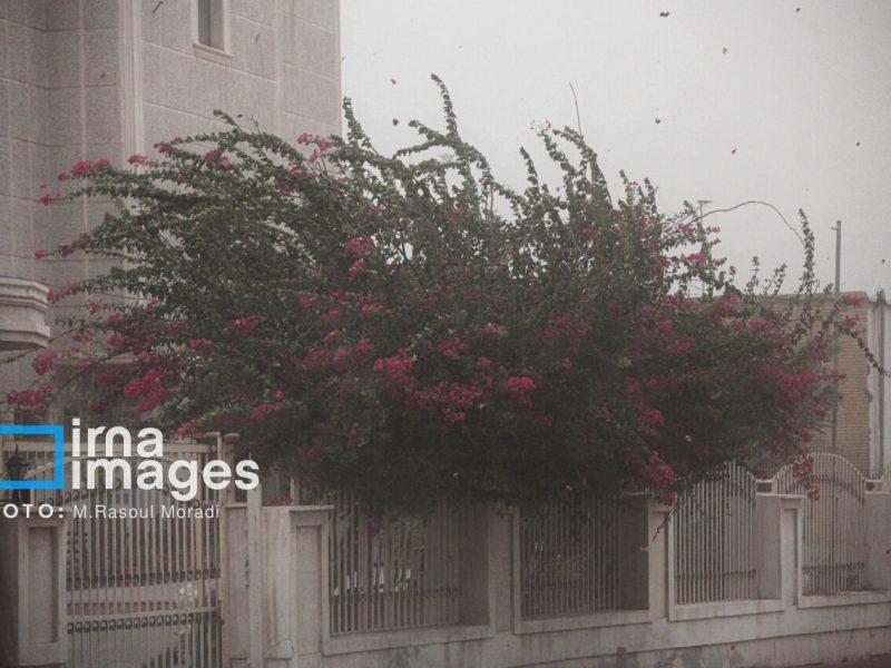 هشدار وزش بادگرم شدید تا خیلی شدید در گیلان