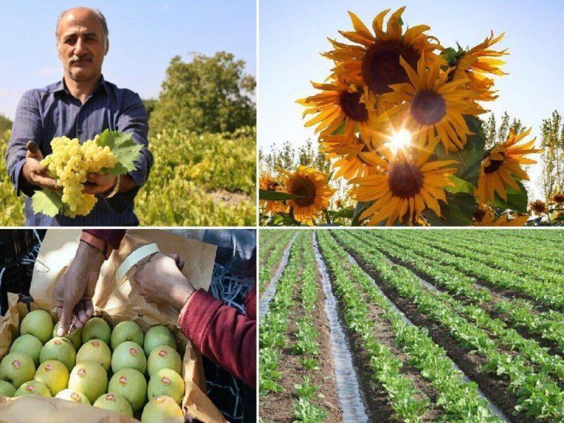 فیلم / مزیتهای توسعه کشاورزی با نگاه به فناوریهای نوین از زبان استاندار آذربایجانغربی