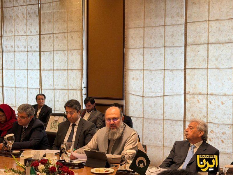 پاکستان: تهران و اسلام‌آباد تعهد قوی نسبت به توسعه روابط دارند+فیلم
