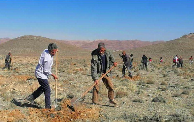 طرح احیای مراتع بوانات؛ ۲۵ هکتار نهالکاری و بذرکاری در ۱۷۸ هکتار از اراضی ملی