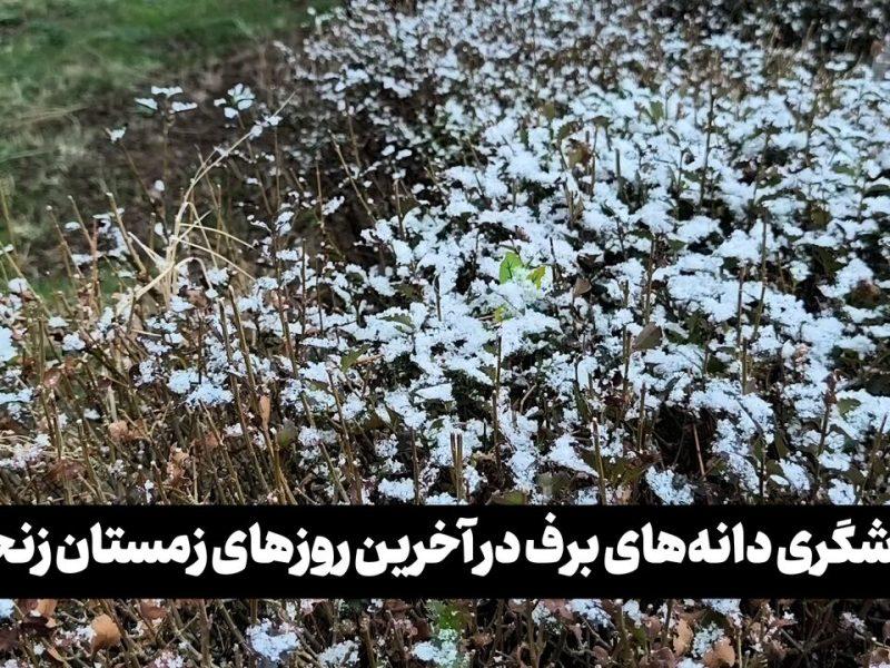 فیلم| بارش برف در آخرین روزهای زمستان زنجان