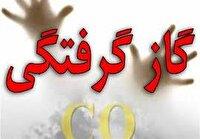 مسمومیت ۷ نفر با گاز مونوکسیدکربن در خراسان شمالی