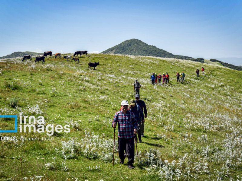 آسمان گیلان صاف تا نیمه ابری است