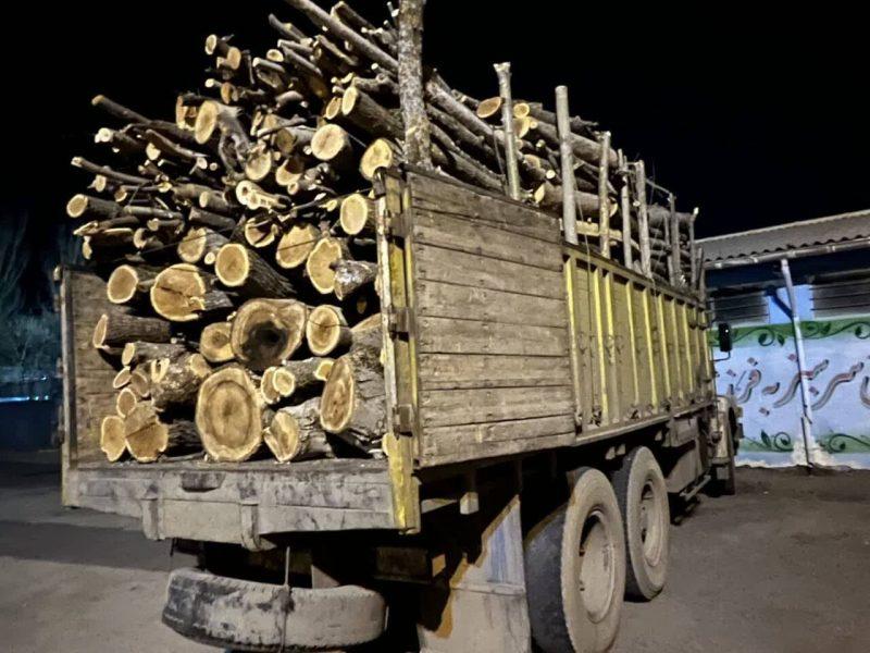 شناسایی قاچاقچی حرفه‌ای چوب در آمل؛ خودرو حامل درختان جنگلی توقیف شد