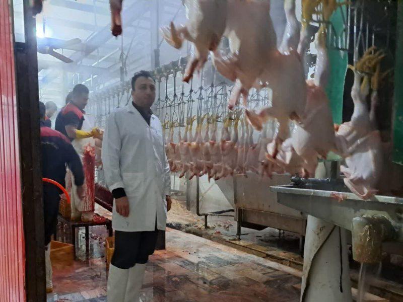 تمام استانداردهای بهداشتی در کشتارگاه‌های استان کرمانشاه باید رعایت شود