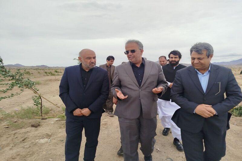 وزیر تعاون: تجربه زاهدان در ایجاد پارک جنگلی، الگویی برای سایر شهرهای کشور است