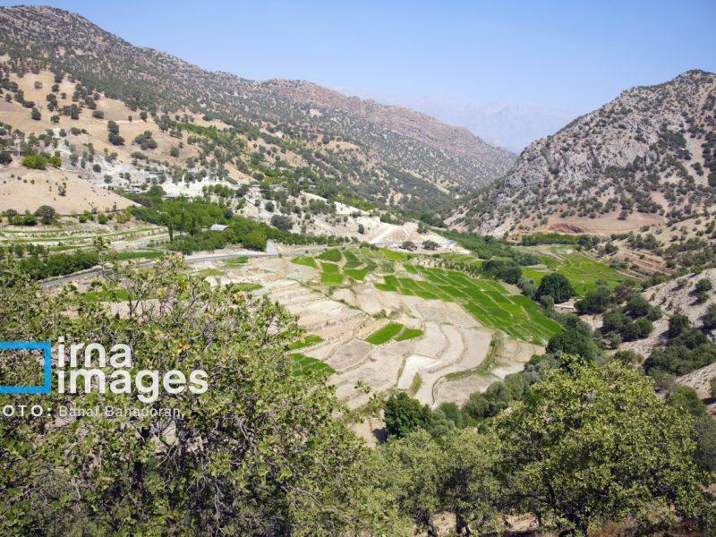 فرماندار : وضعیت جغرافیایی مانع توسعه متوازن در شهرستان دنا است