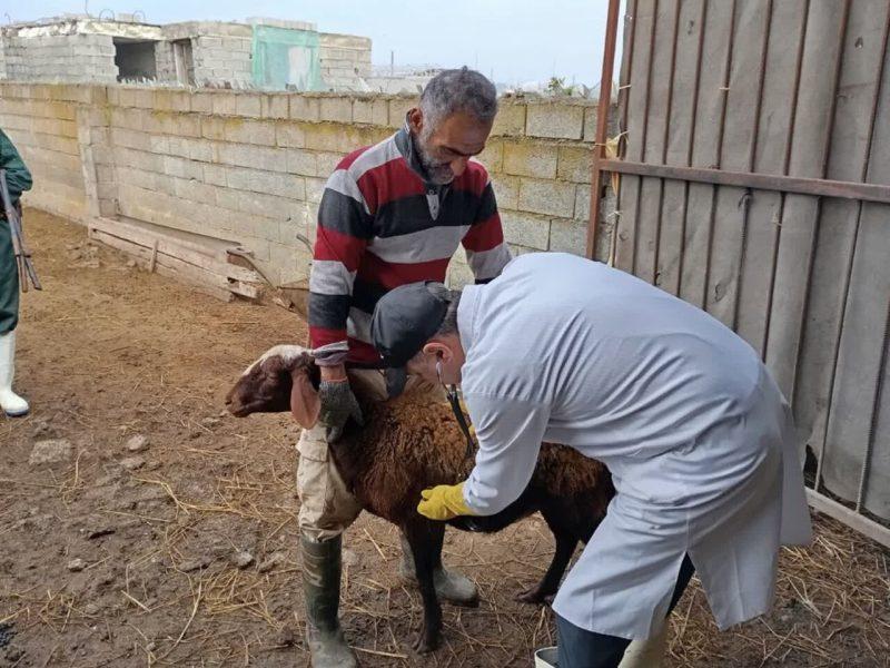 خدمات رایگان دامپزشکی به ۶۰ روستای محروم مازندران