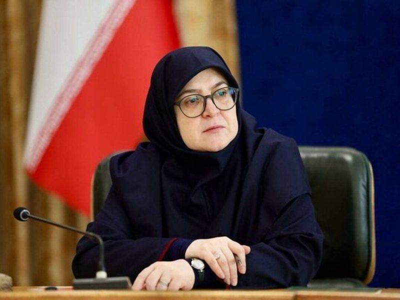 مهاجرانی:‌ سیمبانان اجازه ندادند چراغ خانه‌های مردم خاموش شود