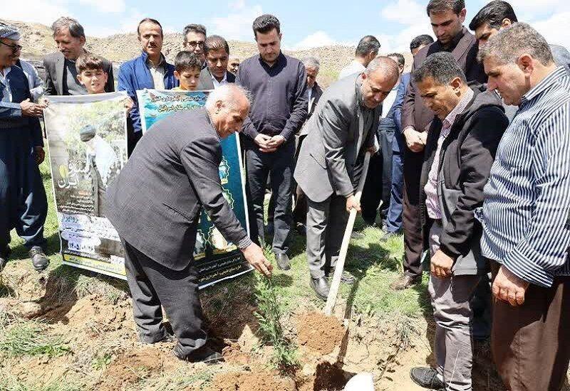 فعالان فرهنگی پیرانشهر به یاد شهدای جنگ تحمیلی نهال کاشتند