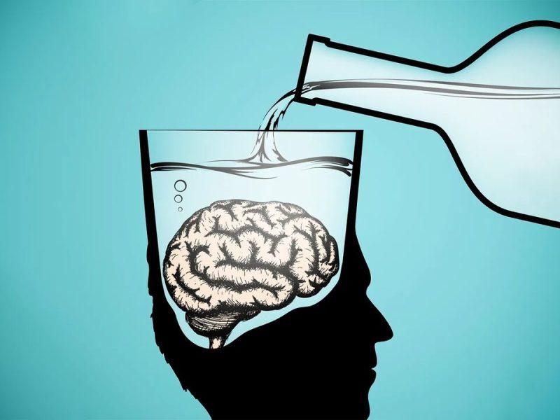 مصرف الکل برای کاهش استرس در جوانی، زوال عقل در میانسالی می‌آورد