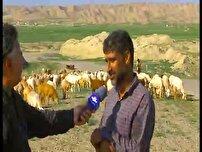 آغاز کوچ بهاره عشایر خراسان شمالی به مناطق ییلاقی