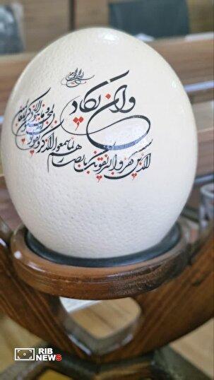پرورش شتر مرغ در خراسان شمالی صنعتی سود ده