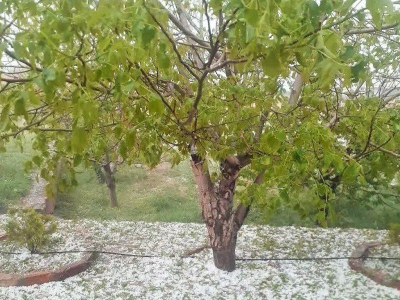 تندباد و تگرگ در راه اردبیل است
