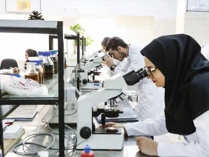 پژوهشگران مشهدی موفق به تولید پودر استخوانی پیشرفته برای کاربردهای پزشکی شدند