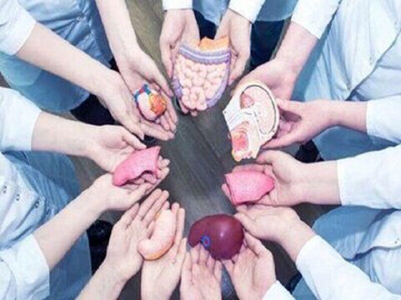 حدود ۵ هزار نفر در گیلان کارت اهدای عضو گرفتند