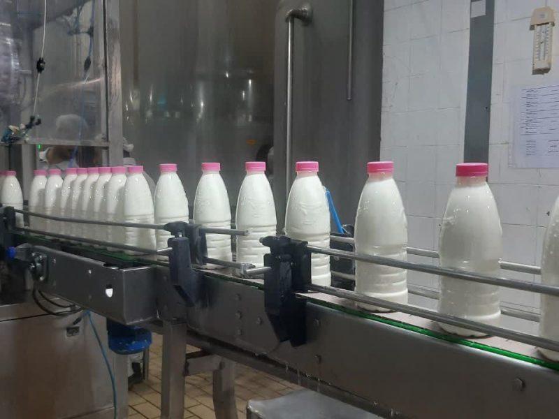 قیمتگذاری دستوری، دستمایه زمینگیر شدن صنعت شیر