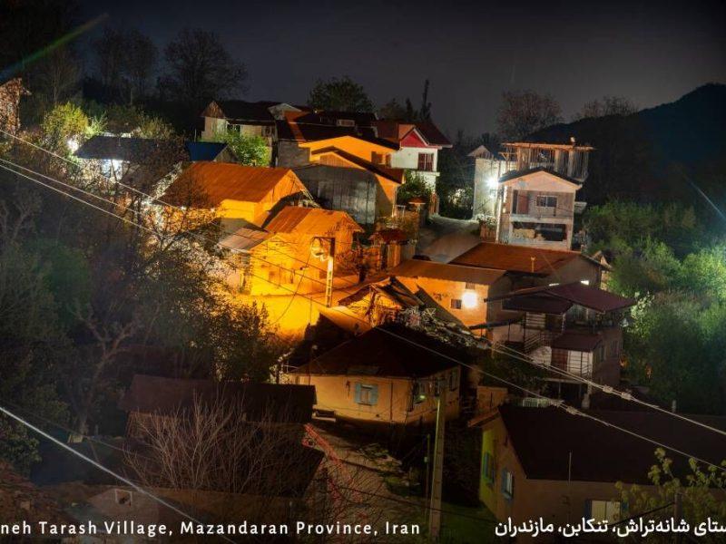 فیلم | جادوی رنگ و گِره در شانه‌تراش