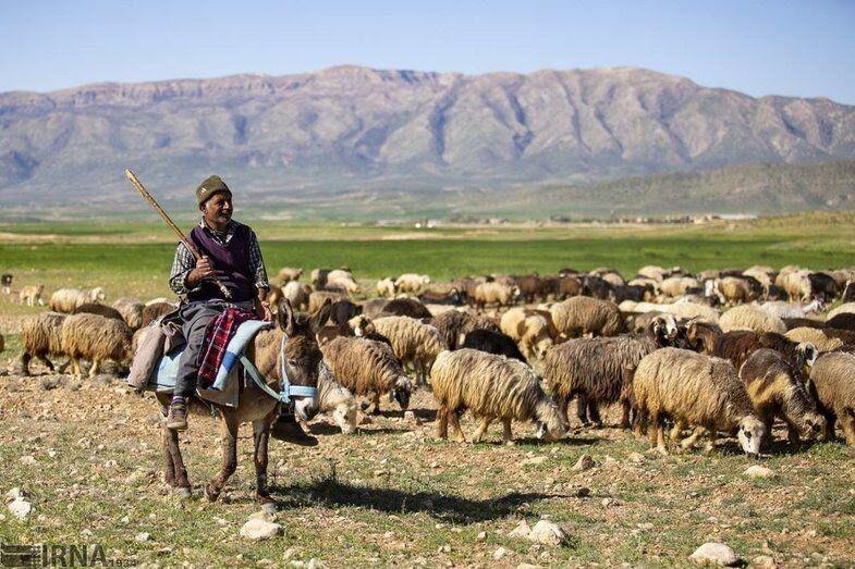 پایان تنش آبی عشایر ملارد؛ تصویب اعتبار مخازن و تانکرهای جدید