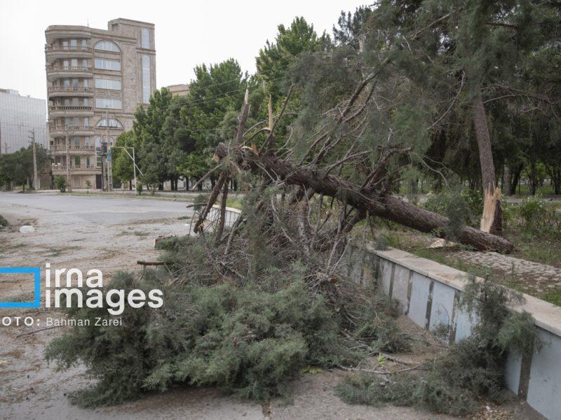 هشدار هواشناسی کرمانشاه: وزش باد شدید و گردوغبار از دوشنبه تا جمعه