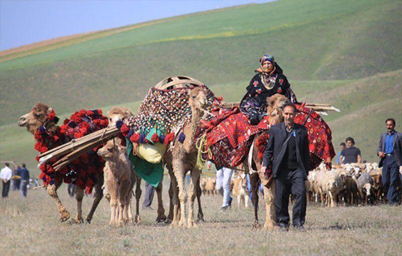 مدیرکل تعاون بوشهر: روستاییان و عشایر از یارانه ۱۵۰ میلیون ریالی برخوردار شدند