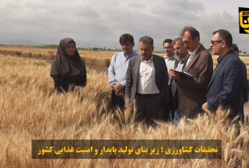 فیلم| تحقیقات کشاورزی؛ زیربنای تولید پایدار