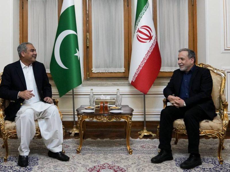 وزیر کشور پاکستان با عراقچی دیدار کرد