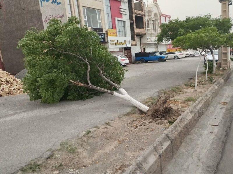 بروز خسارت طوفان و تگرگ به بخش کشاورزی و زیرساختهای برق خراسان جنوبی