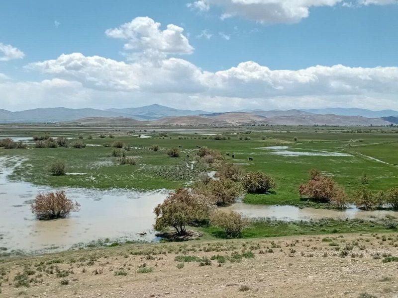 آبگیری تالاب نیزاری «گرده‌قیت و ممیند» نقده آغاز شد