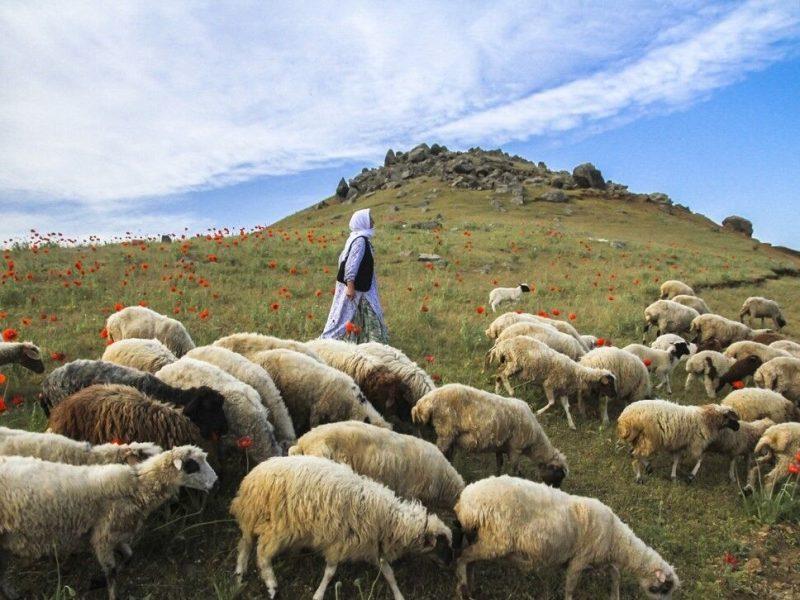 آسمان صاف تا نیمه ابری وضعیت جوی گیلان است