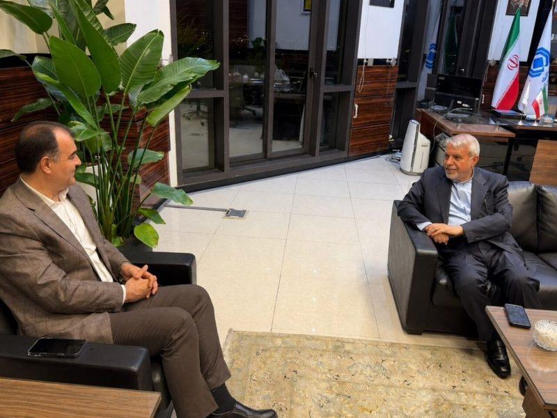 آمادگی بیمه مرکزی برای حمایت از فعالان صنایع دستی و گردشگری