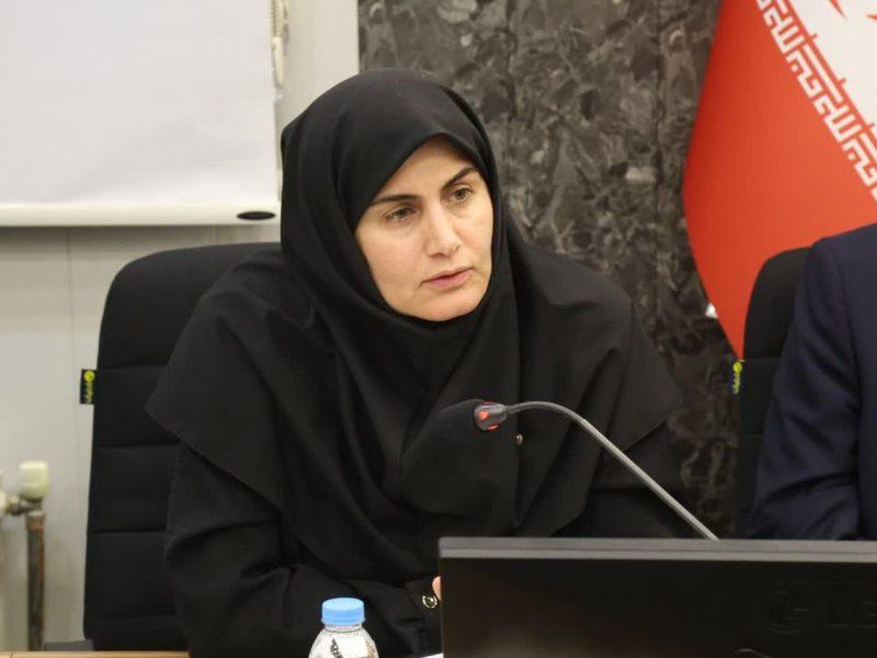 معاون استاندار زنجان: توسعه شرکت‌های دانش‌بنیان، محور سیاست‌های اقتصادی استان است