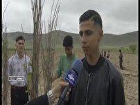 کاشت ۳ هزار نهال توت در هنرستان کشاورزی سملقان