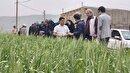 کارگاه آموزشی روز مزرعه در روستای دهگاه بجنورد