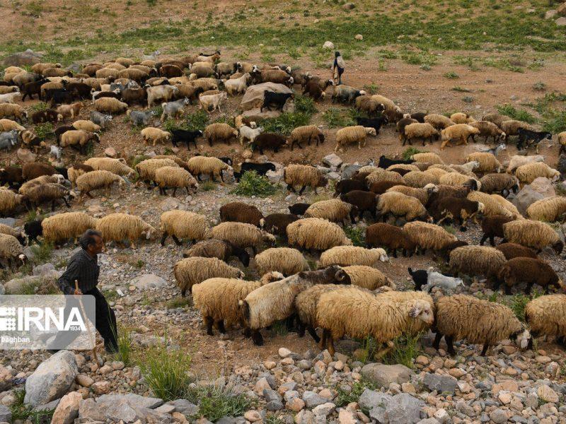معدنکاوی و جادهسازی؛ تهدید جدی برای پوشش گیاهی چهارمحال و بختیاری