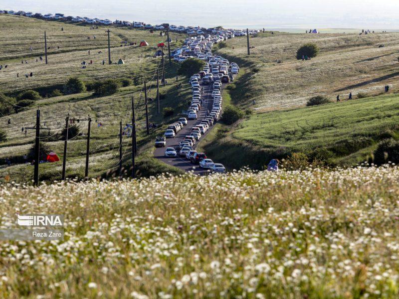 دشت بابونه قطعه‌ای از بهشت ایران زمین در دل نمین