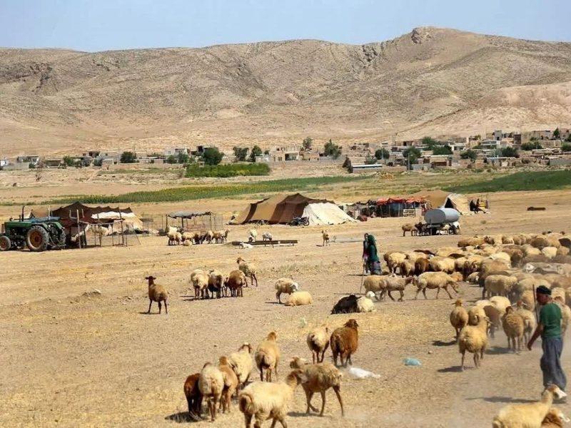 زکات؛ جلوه همدلی عشایر زیرکوه