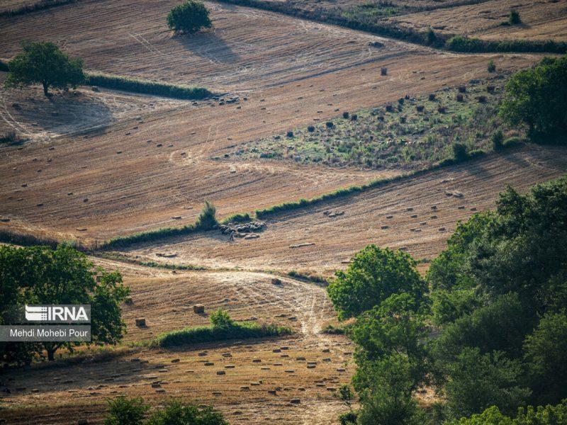 ۵۳ هزار هکتار از زمین‌های اندیمشک رفع تداخل شد