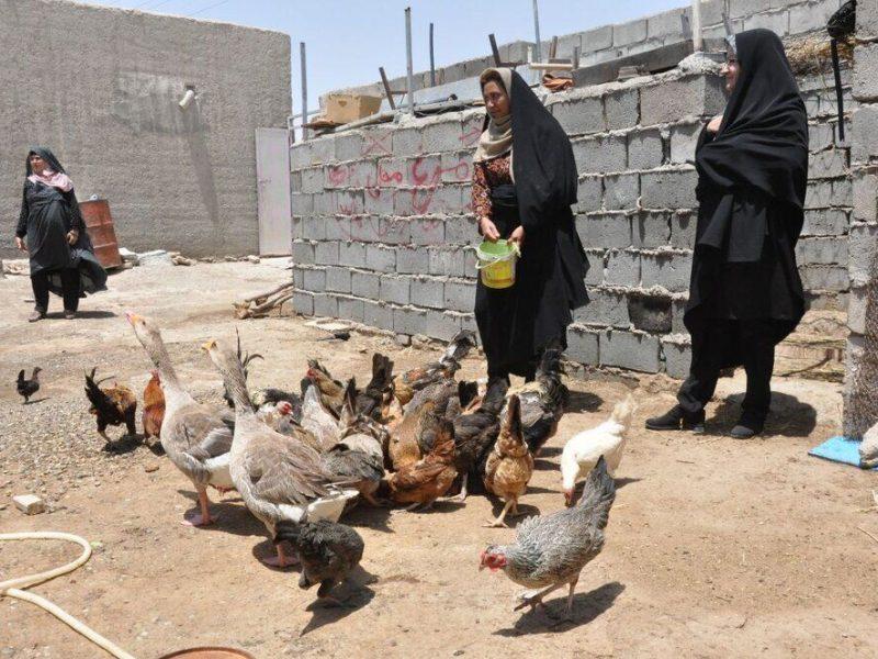 گسترش پوشش بیمه‌ای زنان روستایی و عشایری سیستان و بلوچستان ضروری است