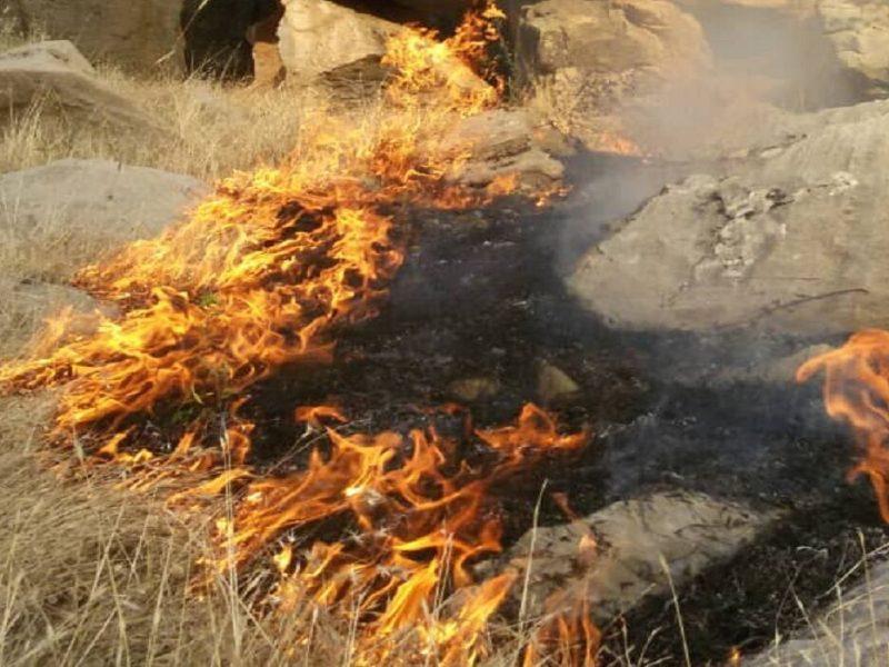 آتش سوزی در شهر جم بوشهر بر اثر گرما