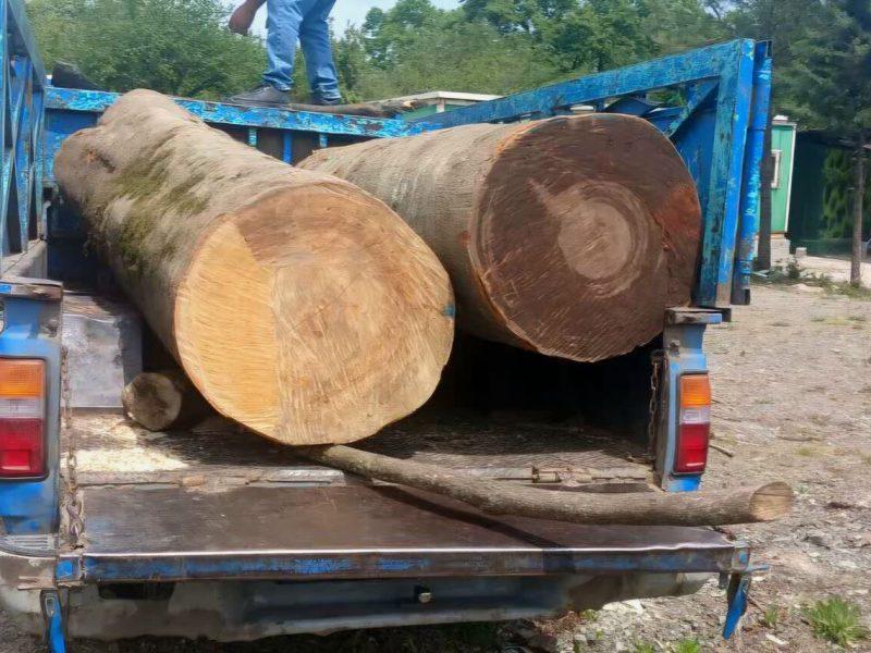 قاچاق چوب از تهدیدهای جدی منابع طبیعی کشور است