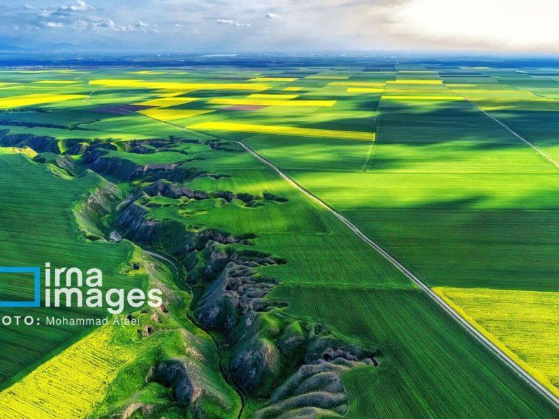 رئیس کل دادگستری گیلان: مانع سوءاستفاده از طرح واگذاری زمین‌های ملی می‌شویم