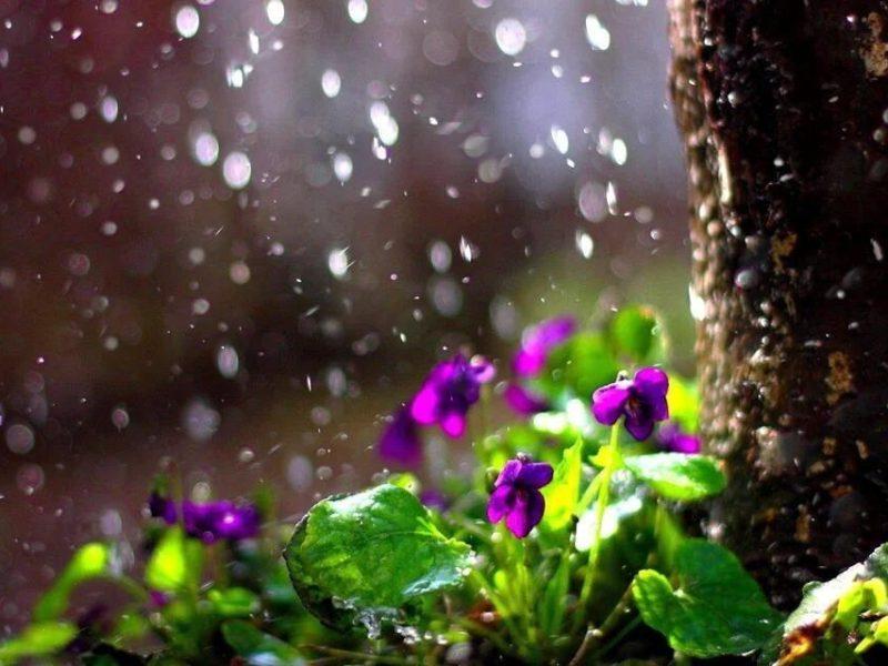 صدور هشدار زرد هواشناسی در زنجان