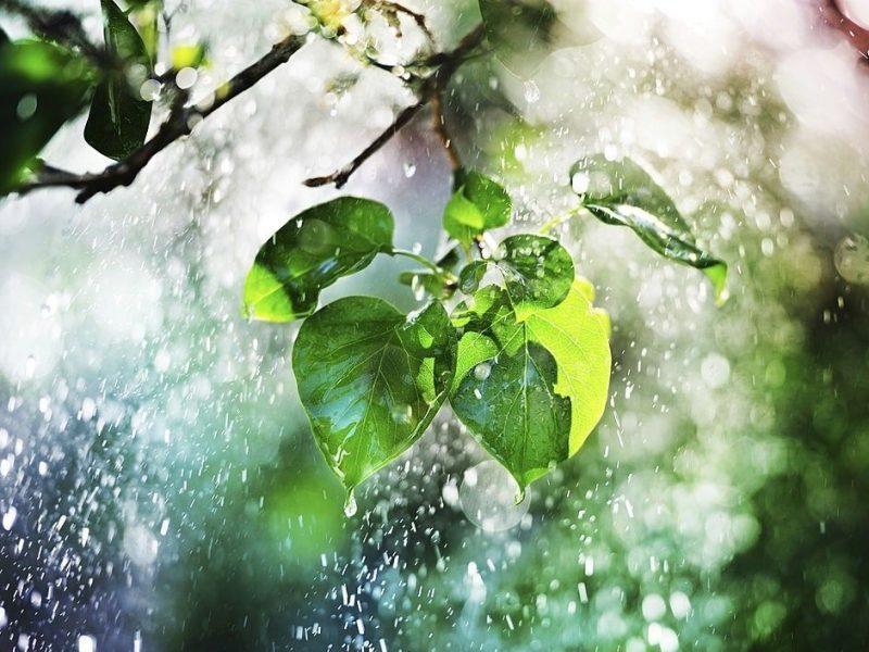 کارشناس هواشناسی: زنجانی‌ها هفته‌ای بارانی را پیش رو دارند