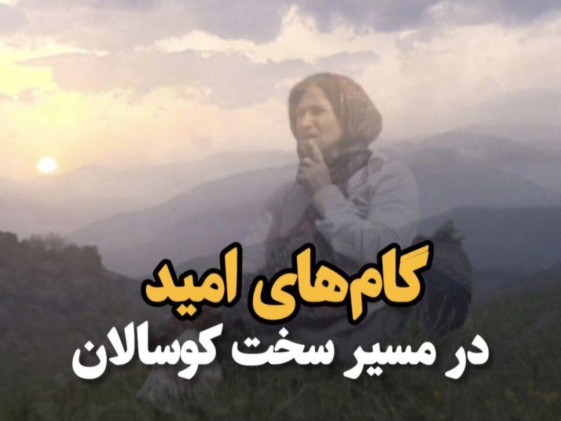 فیلم| گامهای امید در مسیر سخت کوسالان