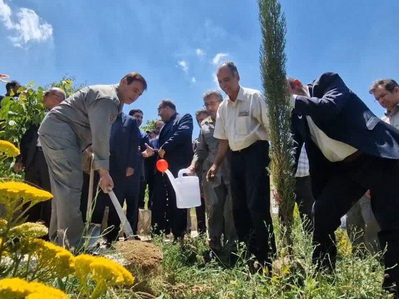 کاشت نهال مقاومت در محیط زیست جنگ زده البرز