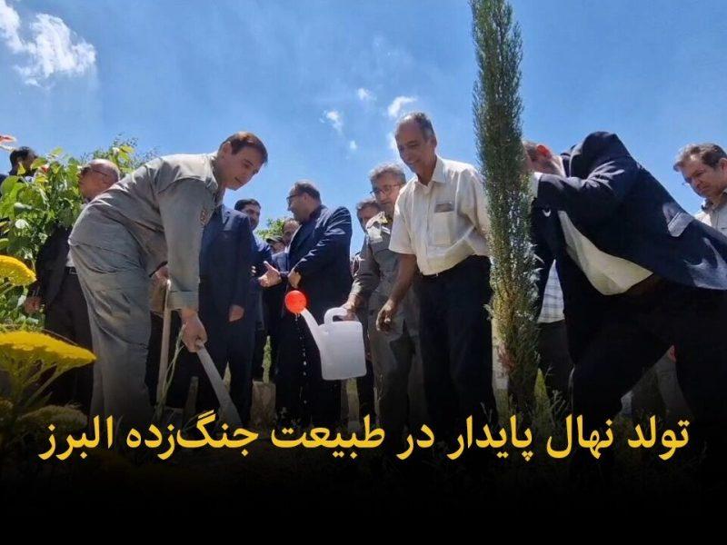 فیلم | تولد نهال پایداری در طبیعت جنگ‌زده البرز