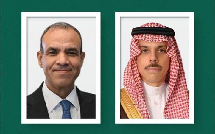 گفتگوی وزرای امور خارجه مصر و عربستان درباره تلاش‌ها برای کاهش تنش در منطقه