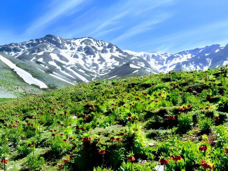 ثبت جهانی قمیشلو – دالانکوه فرصتی برای تحقق توسعه پایدار در غرب اصفهان است