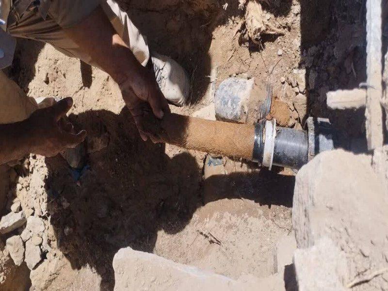ریشه‌ درختان اکالیپتوس باعث ترکیدگی لوله‌های آب نهبندان شد